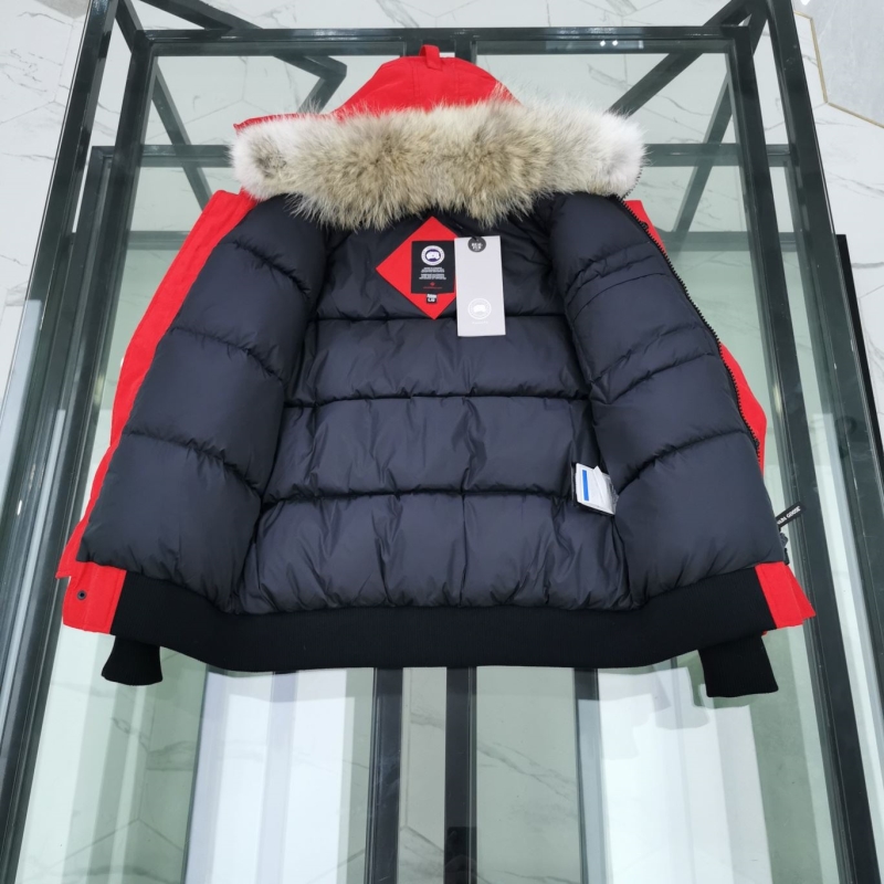 Moncler Down Coat